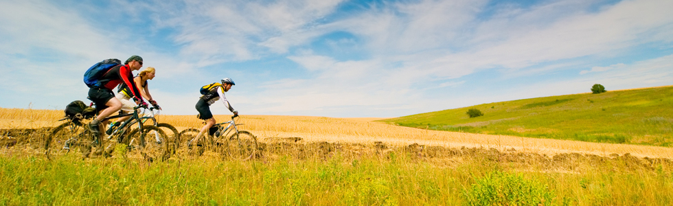 Titelbild: Bild mit Fahrradfahren im Grünen