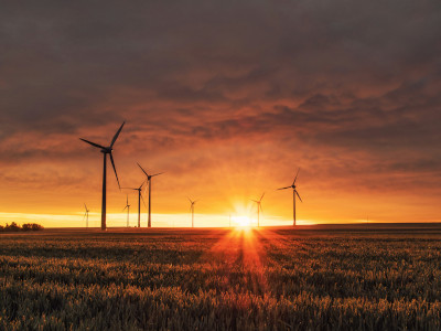 Titelbild: Viele Windräder im Sonnenaufgang
